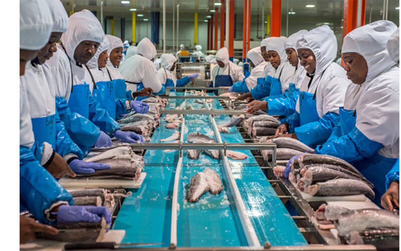 Fish auctions continue to boost state coffers