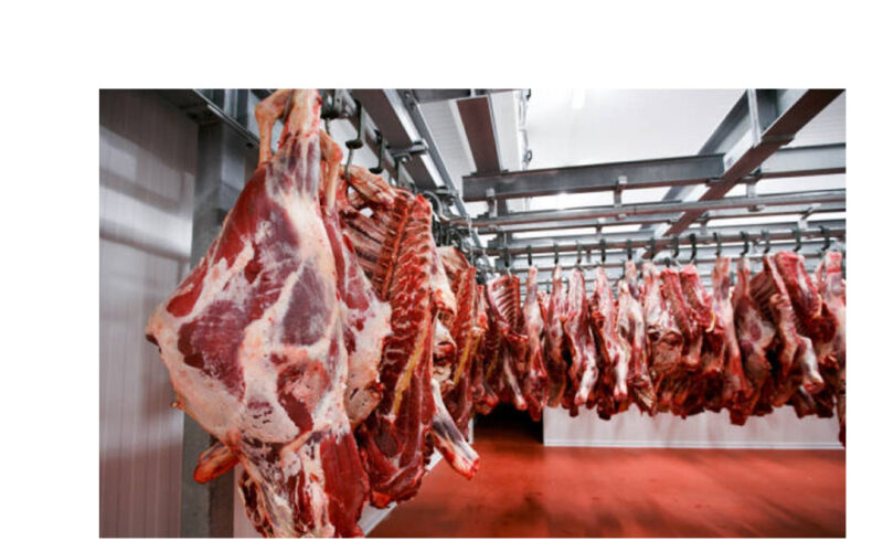 Savanna Beef Processors plans new state-of-the-art processing facility
