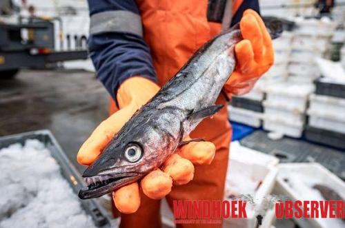 May fishing quota auction generates N$68.4 million