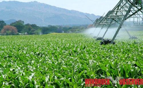 The farmers who feed us deserve a fighting chance