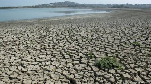 SA summer grain season faces El Niño risks as maize, soybean prices rise