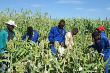 Generational farm workers have retirement homes away from farms 