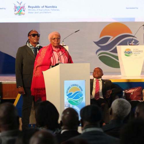 Fish quota auctions raise close to N$29m for government