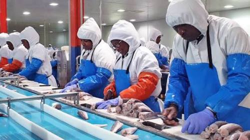 Agronomy imports rise to N$674.8m as fish exports reach N$4.6bn