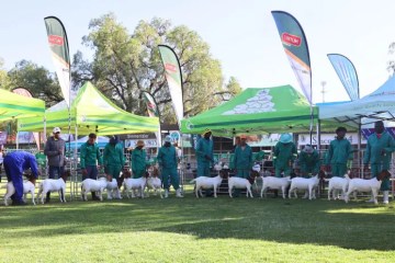 FMD outbreak could cost 12 000 jobs and lift inflation