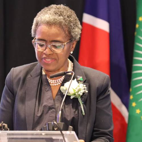 Namibia puts N$241b price tag on climate plan