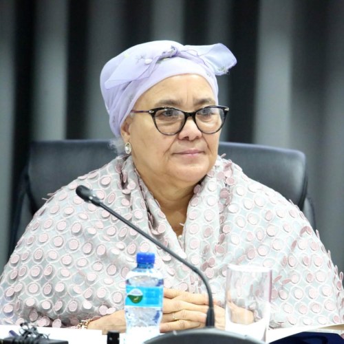 Govt commits to fix disability assessment crisis