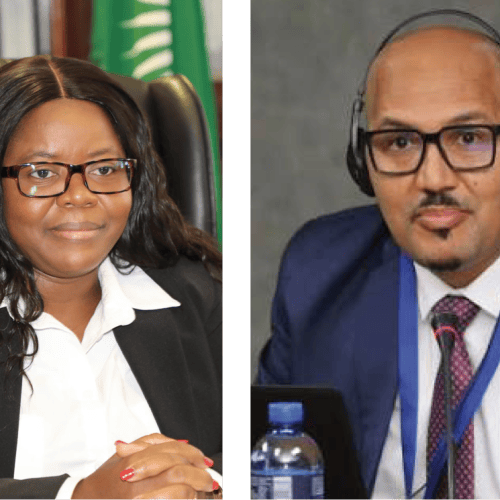 MIRT’s 9 343 jobs claim challenged