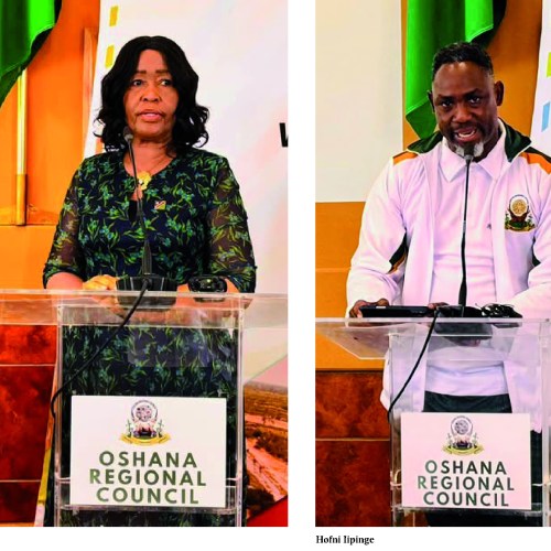 Oshana land-use plan targets orderly growth amid rising pressure
