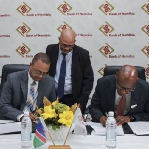 Gold purchases reach N$767.7m as Welwitschia Fund returns 9.4%