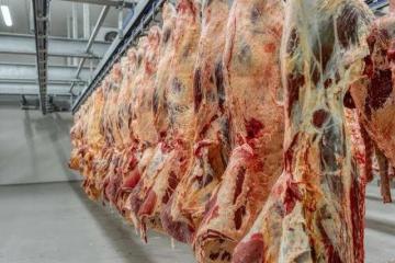 Savanna Beef shareholders approve resolutions at fourth AGM