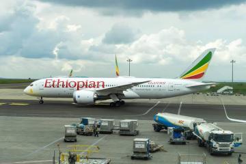 The blessing and curse of a national airline