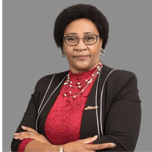 /Goagoses warns against dividing communities for investors’ gain