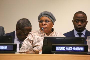 NNN demands Africa’s voice on global financial systems 