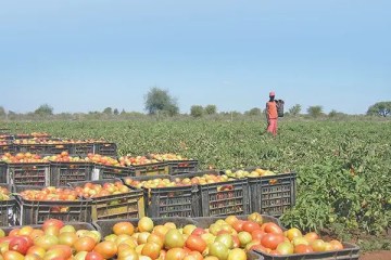 SA’s agribusiness confidence returns to positive territory
