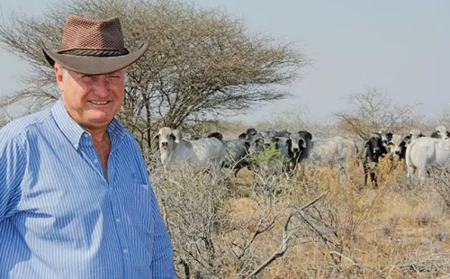 Savanna halts operations as FMD crisis threatens 240 jobs