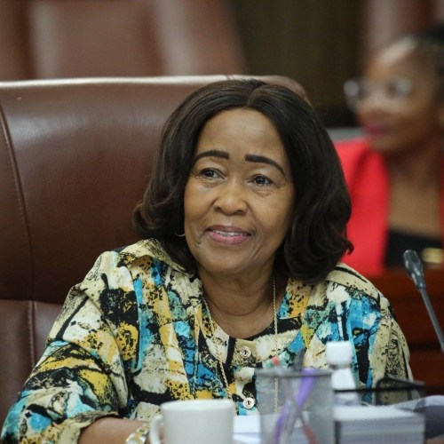 Land reform faces five-year performance audit