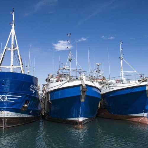Oceana earnings forecast to rise by up to 56%