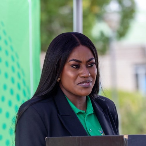 Health ministry plans five mental health units