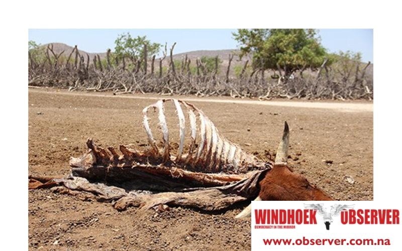 Namibians urged to unite in the face of the drought crisis