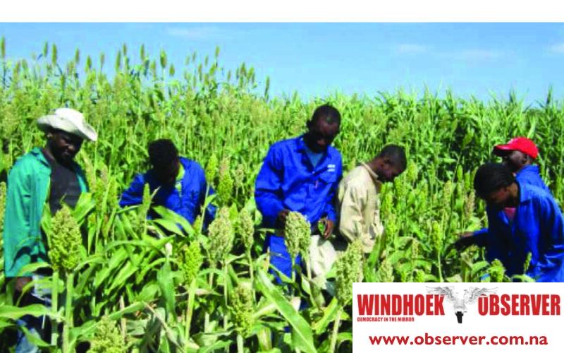 Farmers unhappy over wage rules on fringe benefits