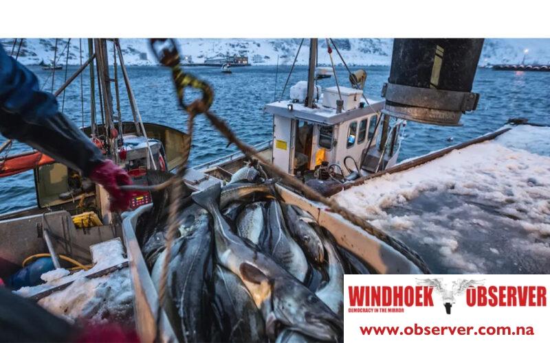 Fishing companies exploiting weak regulations as bycatch soars