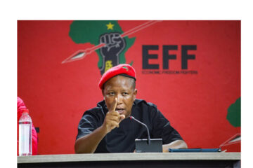 Malema’s EFF criticizes ECN for elections mismanagement