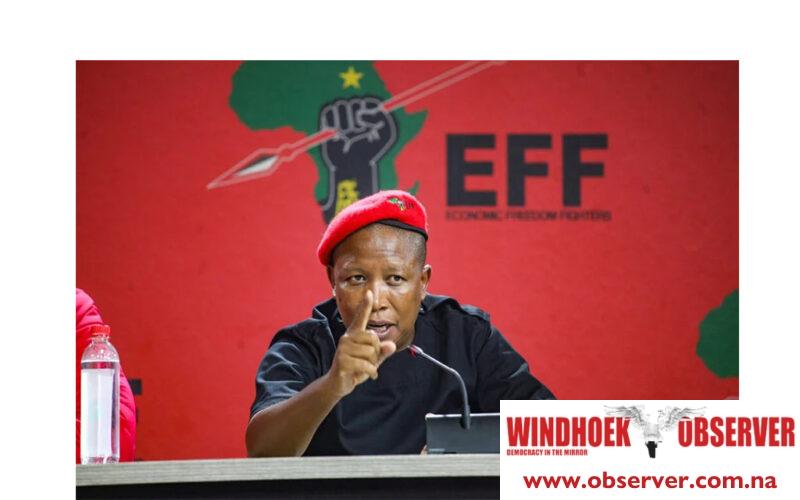 Malema’s EFF criticizes ECN for elections mismanagement