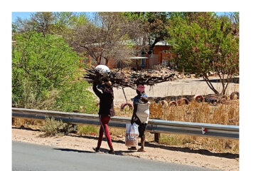 SADC PF hearing spotlights women’s leadership in climate change